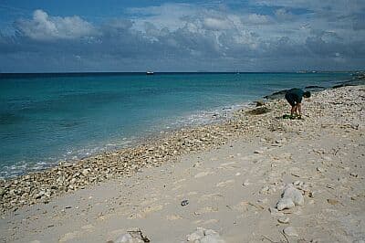 Salt Pier