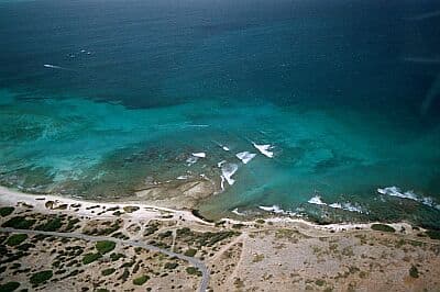 Shallow Reef