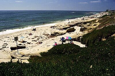 Windansea