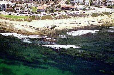 Hospital Point