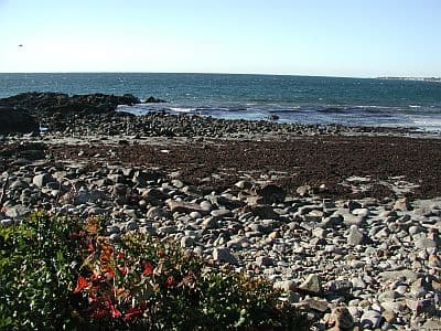 Pebble Beach